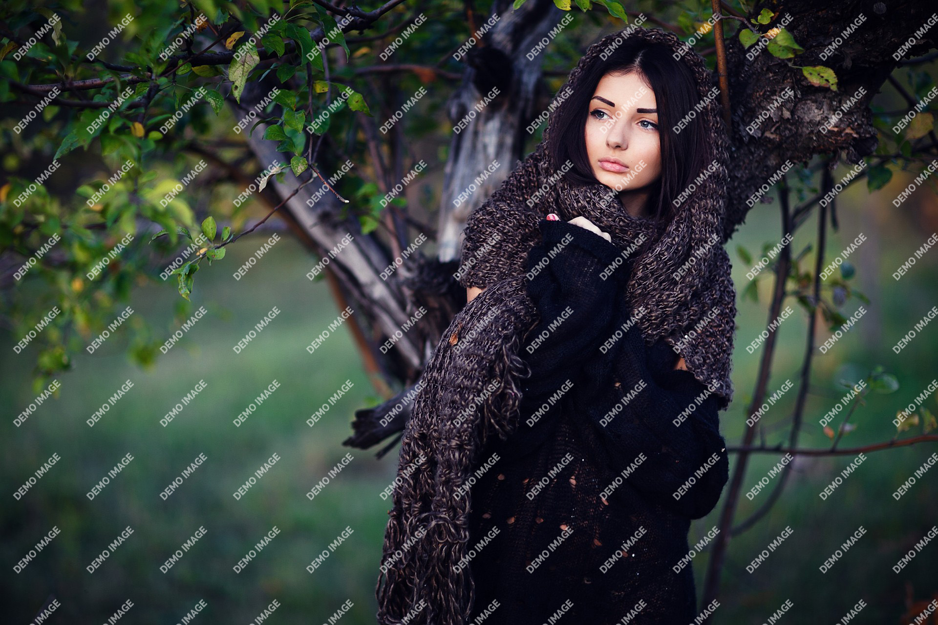 The Winter is Coming