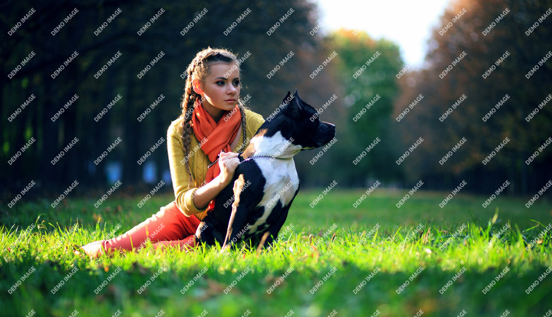 The Guardian